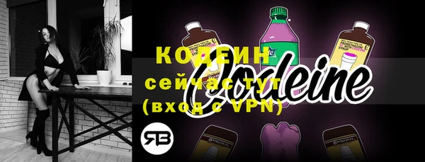 гашик Осинники