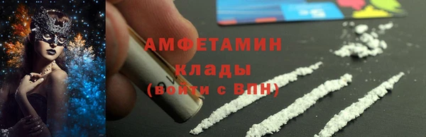 гашик Осинники