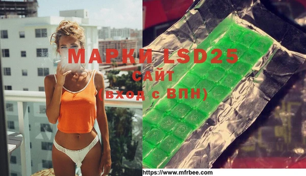 гашик Осинники