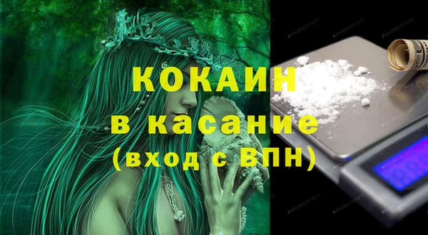 гашик Осинники
