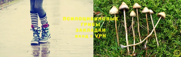 гашик Осинники