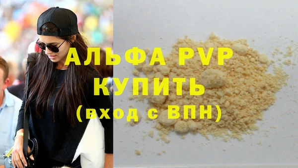 гашик Осинники