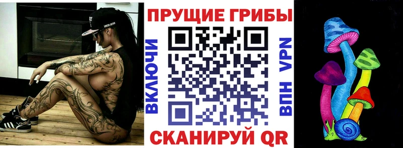 Псилоцибиновые грибы Psilocybe  что такое наркотик  blacksprut ссылки  Яранск 